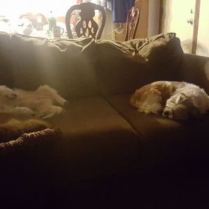 Meet your Posher, Tim